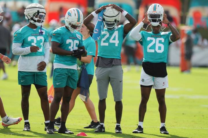 Miami Dolphins' 2025 active 53