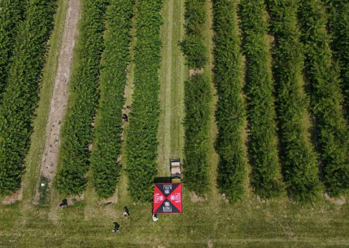 In Michigan's cherry country, the federal safety net is fraying