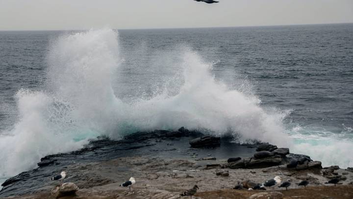 Así avanza hacia el Atlántico la tormenta tropical Fernand; un nuevo sistema que se aproxima  hacia el Caribe