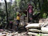 Derriban viviendas ilegales construidas en bosque de Cuajimalpa