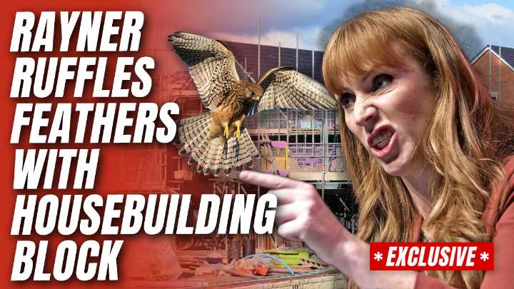 EXC: Rayner Personally Blocks Jobs Hub and 1,000 New Homes to Avoid Disturbing Birds