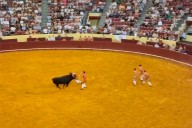 Un torero de 22 años murió tras la embestida de un toro de casi 700 kilos