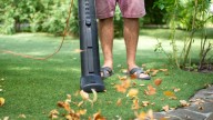 'Vacuum mulching' can keep your lawn green and healthy in Fall despite the falling leaves