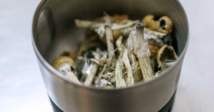 Oregon study shows psilocybin therapy helped low-income people fight depression