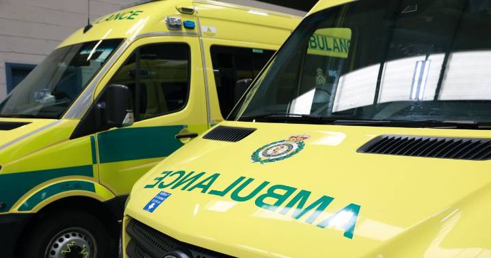 Horsebox overturns in A19 crash as two people treated at scene by paramedics
