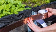 The Overlooked Mistake That Makes Copper Tape Less Effective At Repelling Slugs & Snails