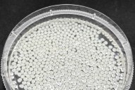Fat-Binding Microbeads May Offer Safer Alternative to Weight Loss Drugs