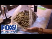 ‘CLEAR WARNINGS’: Journalist warns about the dangers of cannabis use