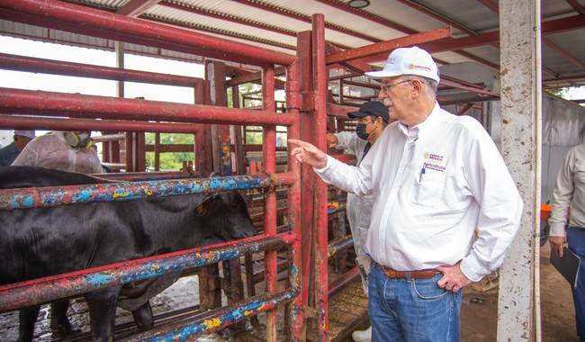 Agricultura refuerza inspecciones y control de movilización de ganado en Veracruz