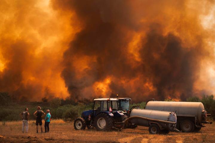 Detienen a tres personas por provocar un incendio en un área protegida en Portugal