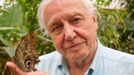 David Attenborough unable to talk about anything without sounding like he's taking the piss