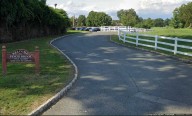 Golfer Struck By Lightning: Florham Park PD