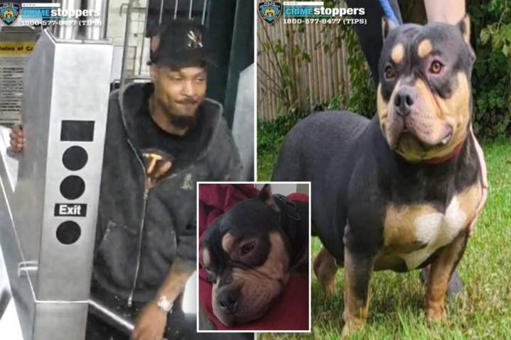 NYC straphanger snatches sleeping passenger's dog on Bronx subway