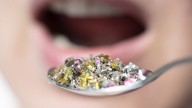 How to Find Out If Microplastics Are Actually Destroying Our Health
