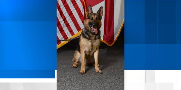 Alabama Law Enforcement Agency announces sudden passing of beloved K