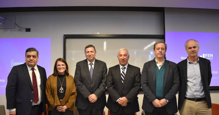 Aseguradoras revelan que trabajadores de Codelco son los que más acceden al Seguro de Invalidez y Sobrevivencia