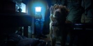 'Good Boy' Trailer Promises a Horror Experience Like No Other