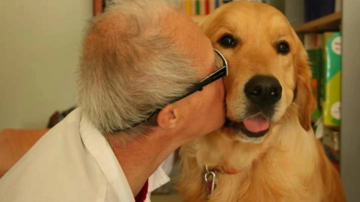 Convivir con un perro o gato podría ralentizar el deterioro cognitivo, según el mayor estudio europeo