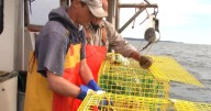 Maine nonprofits partner on financial literacy, business startup course for lobstermen