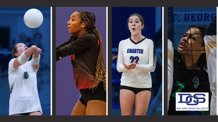 Vote for the Delaware Preseason Girls Volleyball Player of the Year
