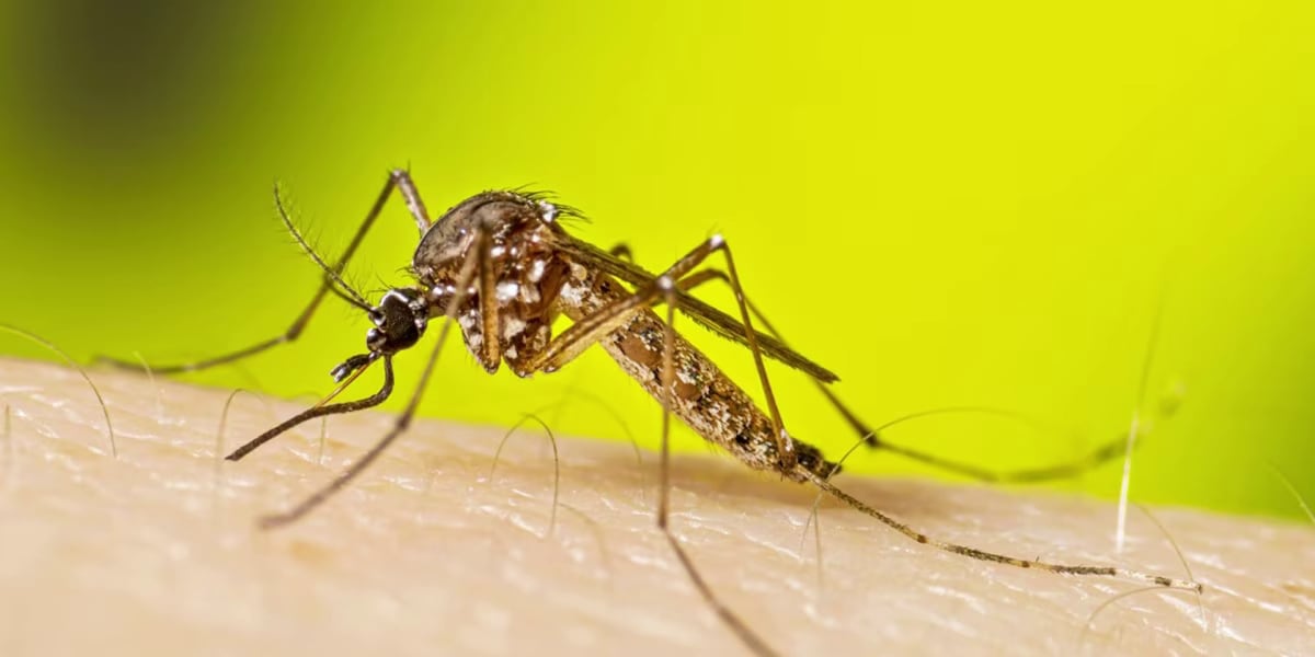 Central District Health Department confirms first human case of West Nile