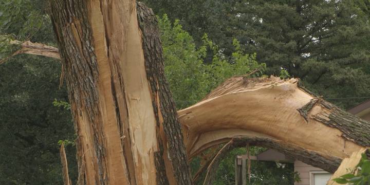 Sioux City residents impacted by overnight storms