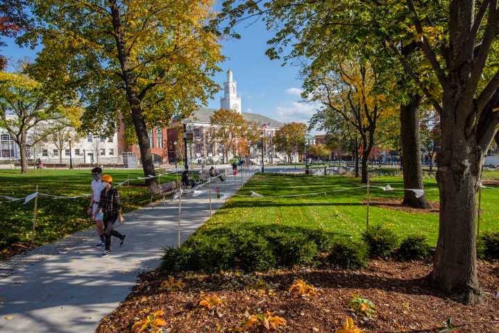 Burlington City Council passes resolution to make City Hall Park safer
