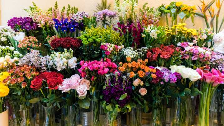 DIY A Floral Arrangement That Looks So High End Using Affordable Dollar Tree Supplies