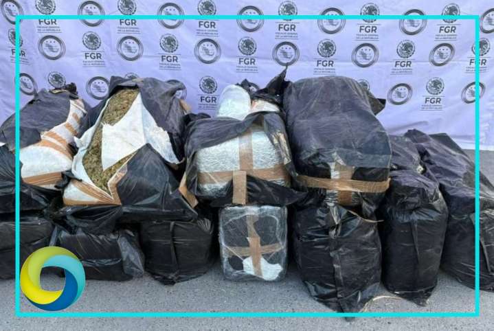 Aseguran 200 kilos de marihuana en Nuevo León; hay un detenido