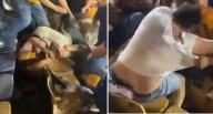 Pseudo aficionados de Tigres protagonizan riña tras derrota