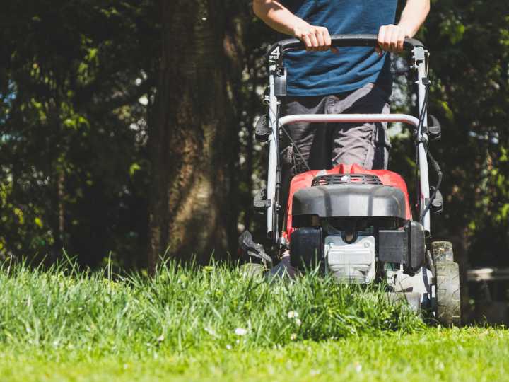 Best lawn mowers to order in Canada 2025