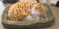 Life-like companion animals donated to a local retirement community