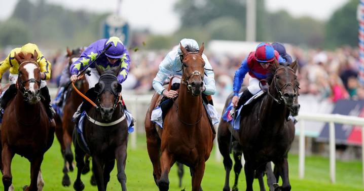 'I picked three winners on Friday and have a 14-1 nap on Saturday – Jason Heavey's Saturday tips