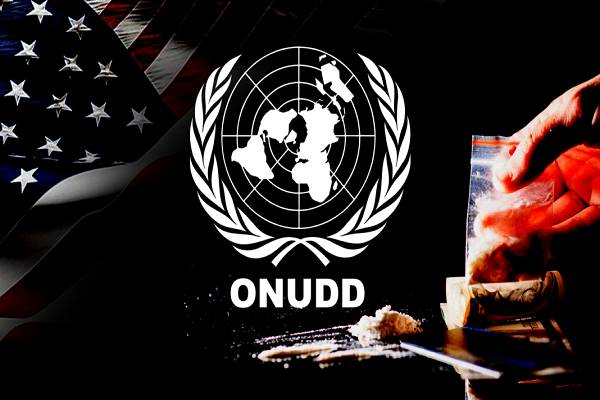 Ni cartel, ni soles, ni nada: Informe de la ONU destapa farsa de EEUU y presunto narcotráfico en Venezuela