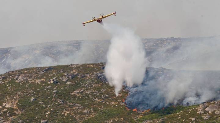 Un experto en medioambiente, sobre los incendios: "Lo llevamos advirtiendo años, es un problema de gestión forestal, no de medios"