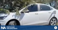 San Antonio de Areco: hallan muertos a un hombre y una mujer de un auto tiroteado