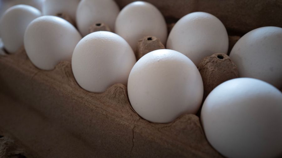 Salmonella outbreak: Recalled eggs affect 14 states