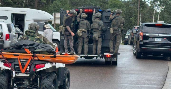 Park ranger's claim he had been stabbed and attacked proved to be 'elaborate hoax': Cops