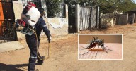 Sonora refuerza acciones para prevenir y controlar el dengue ante repunte de casos