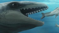 New ancient whale species discovered in Australia