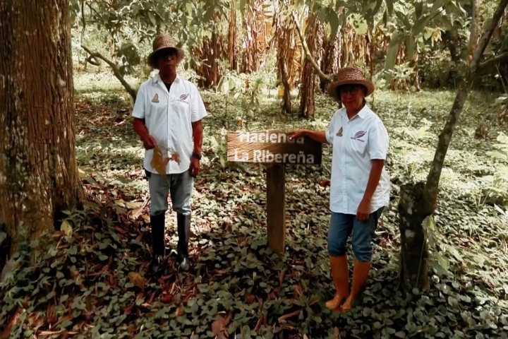 Turoperadores de China entusiasmados con la región de Barlovento y la cultura del cacao