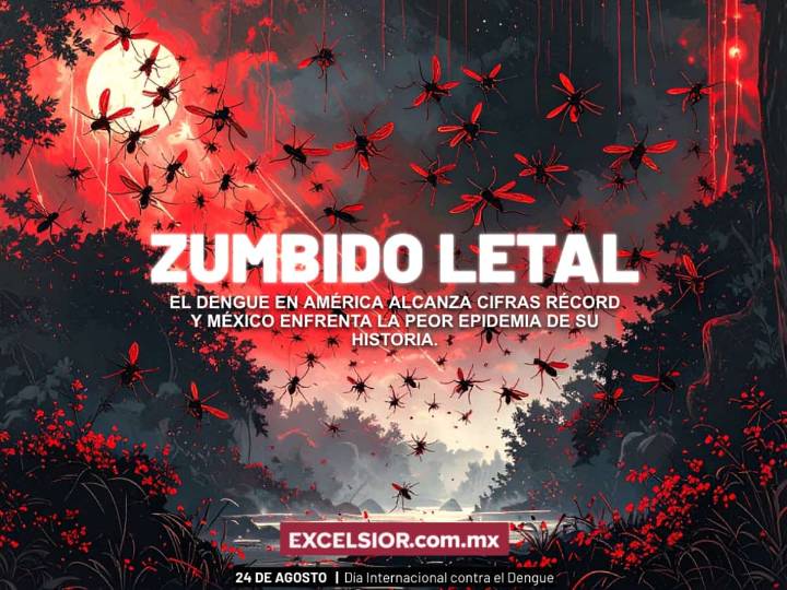 Dengue en América Latina: más de 13 millones de casos y miles de muertes