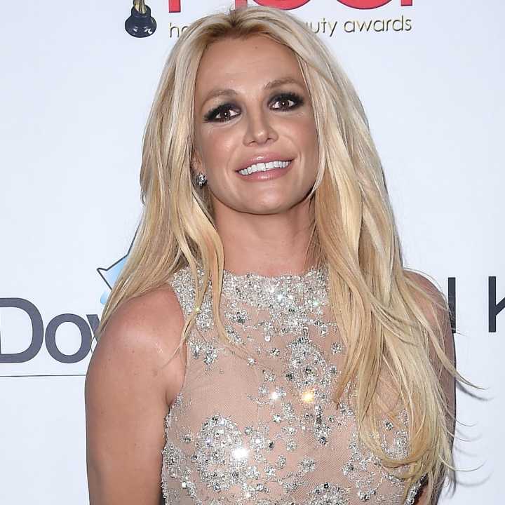 Britney Spears Poses Nude in New Photo