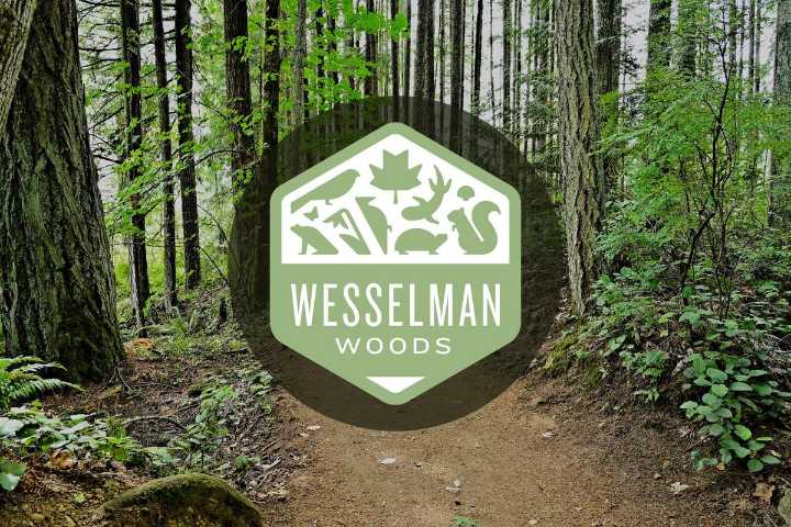 Wesselman Woods 2025 Environmental Studies Courses