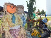 Watford ringing the corn on the cob dinner bell this weekend