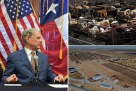 US confirms nation's first travel-associated human screwworm case connected to Central American outbreak 