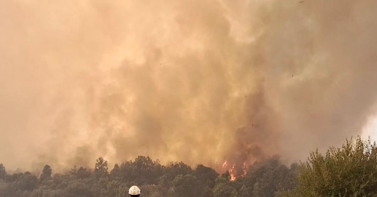 Detenidas dos personas e investigan a otra por los incendios originados en Zamora y en León