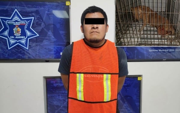 Somete a perro y le corta los genitales con arma blanca