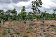 Sedarpe revisará casos de beneficiarios de “Sembrando Vida” en Quintana Roo