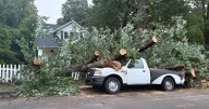 Storms topple large tree, crushing pickup truck and damaging other vehicles in Raleigh :: WRAL.com